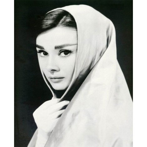 Audrey Hepburn - An Iconic Portrait