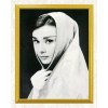 Audrey Hepburn - An Iconic Portrait
