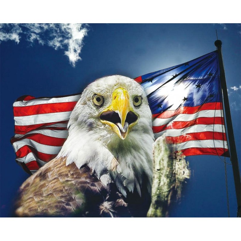 Eagle by the Flag DI...