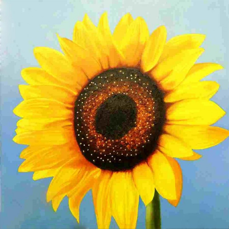 Yellow Sunflower Dia...