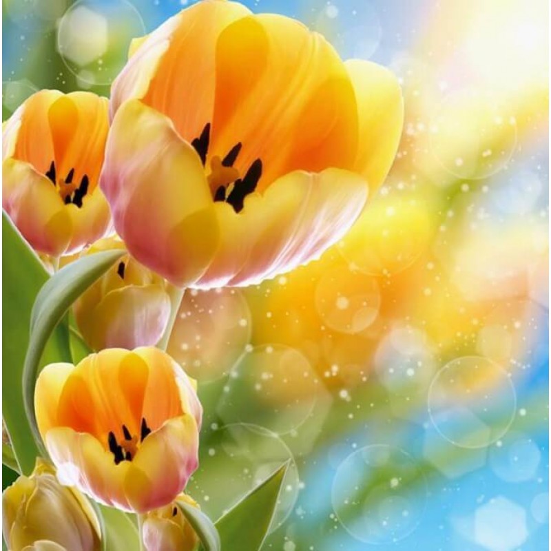 Yellow Flowers Diamo...