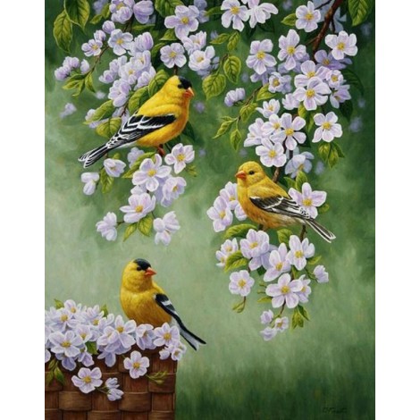Yellow Birds & White Flowers