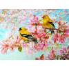 Yellow Birds & Pink Blossoms