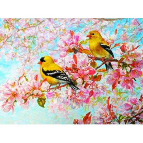 Yellow Birds & Pink Blossoms