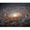 Woolly Galaxy