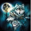 Wolves under Full Moon