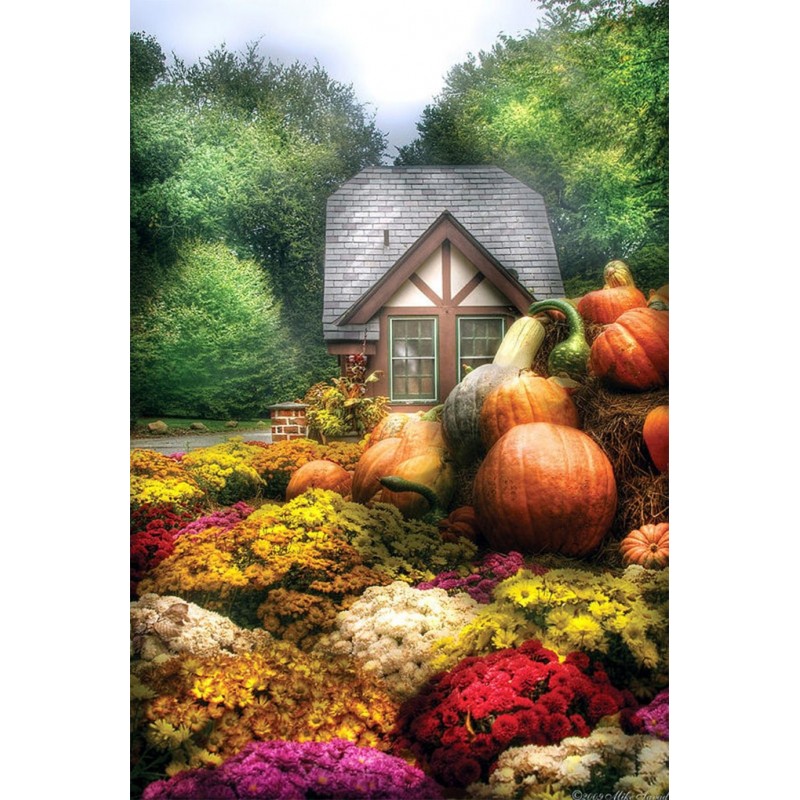 Pumpkin Garden DIY D...