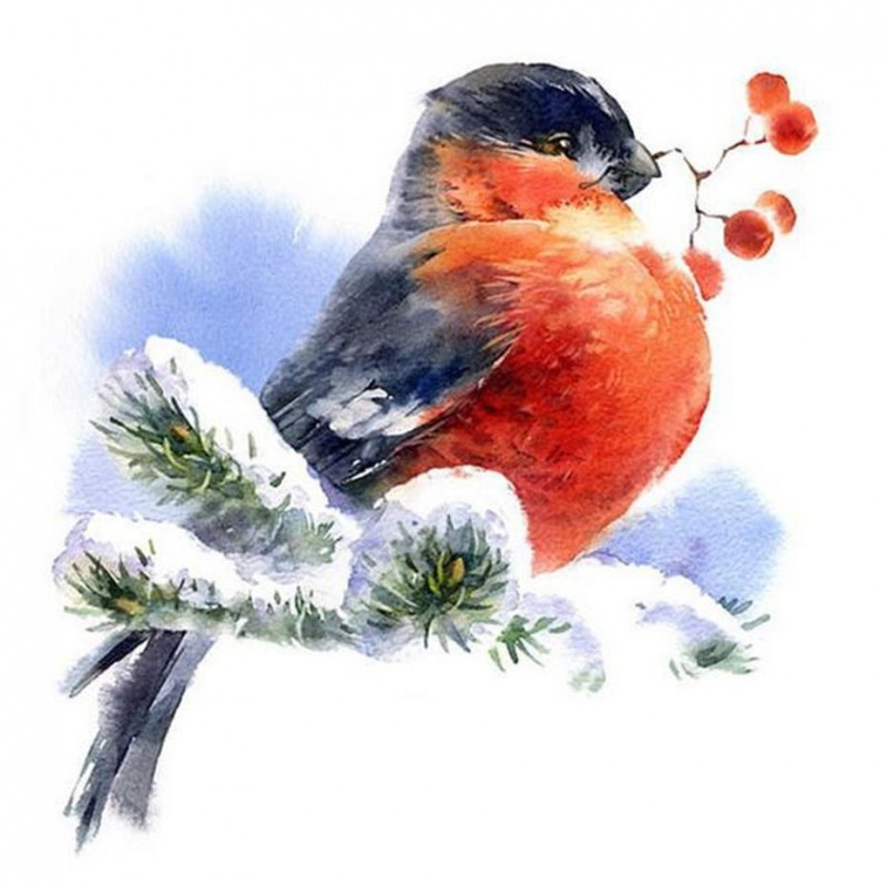Snow Sparrow Diamond...