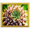Tropical Pineapple Art DIY Painting