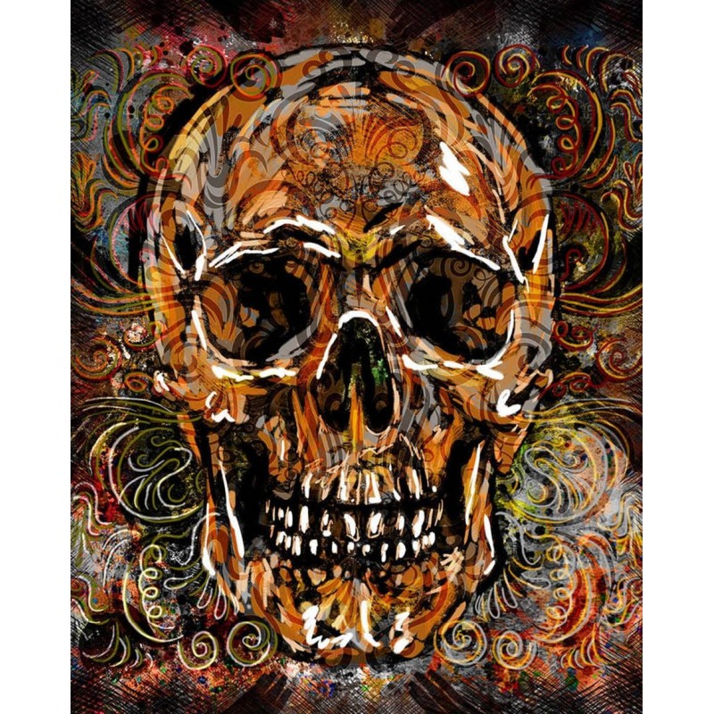 Skull DIY Diamond Pa...