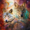 Wolf & Galaxy Art Painting