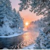 Winter Trees & Sunset
