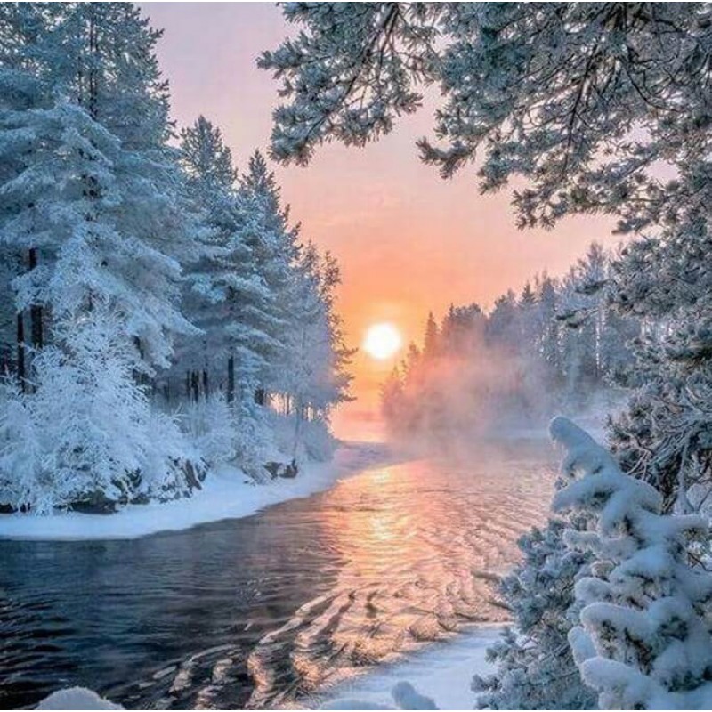 Winter Trees & S...