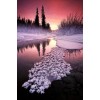 Winter in Alaska Diamond Painting
