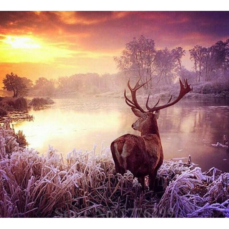 Winter Deer Painting...