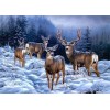 Winter Deer - Diamond Painting Kit