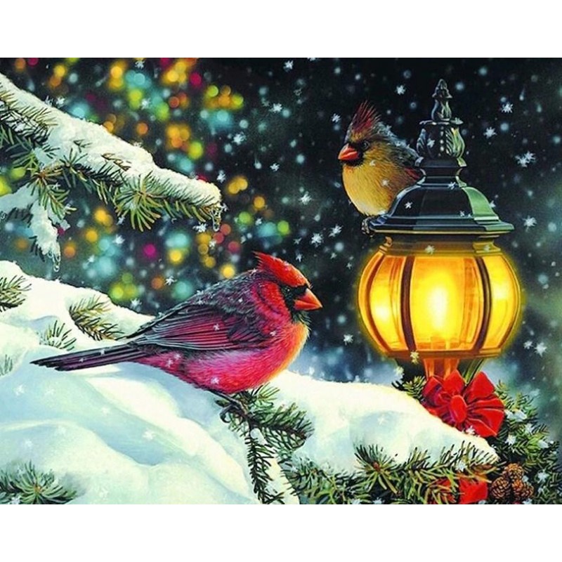 Winter Birds Diamond...