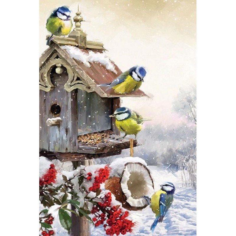 Winter birds & T...