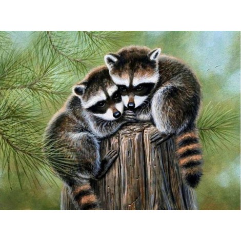Wild Raccoons - Diamond Painting Kit