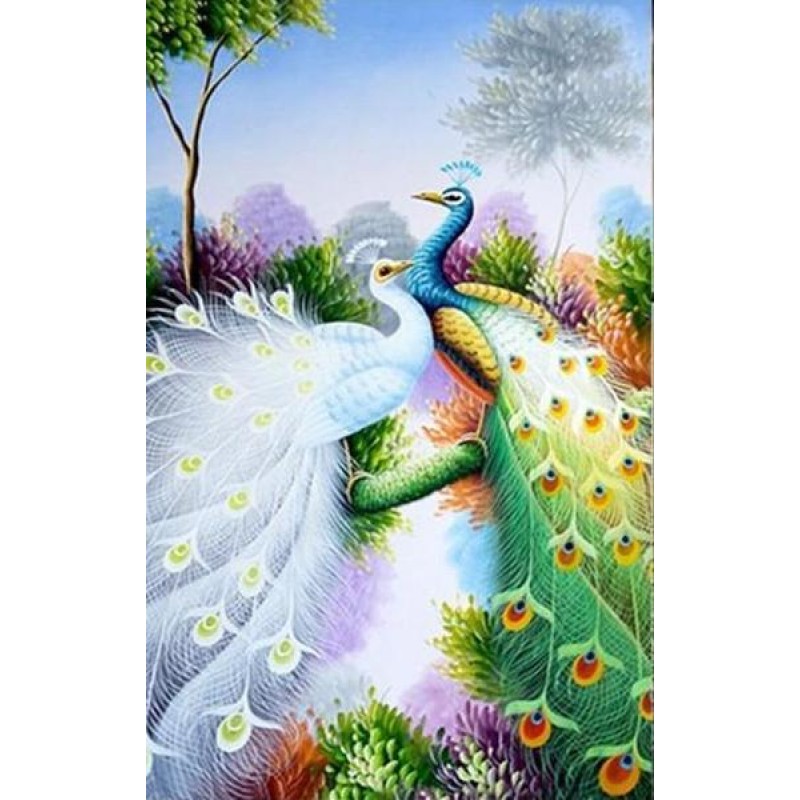 Peacock Pair DIY Dia...