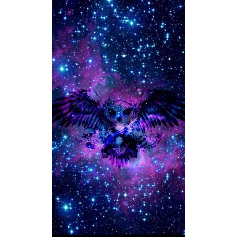 Galaxy & Owl - A...
