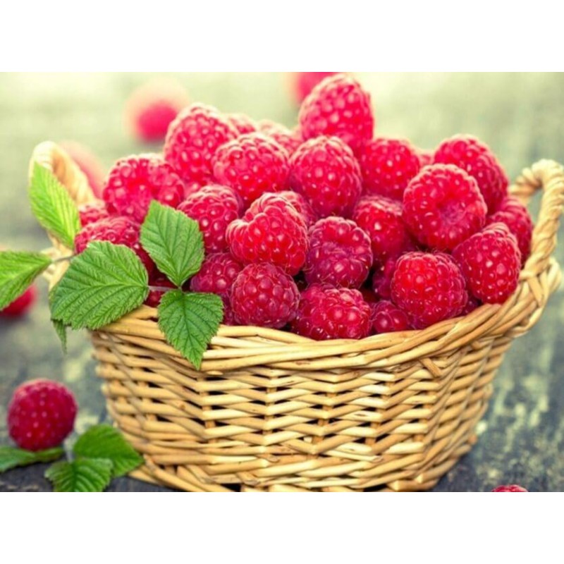 Berries Basket Diamo...