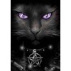 Wicked Cat - Paint by Diamonds