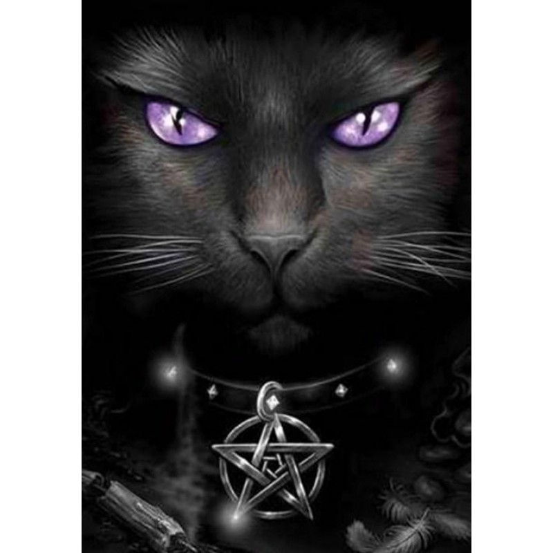 Wicked Cat - Paint b...