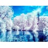 White Trees by the Lake