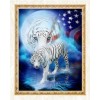 White Tigers & American Flag