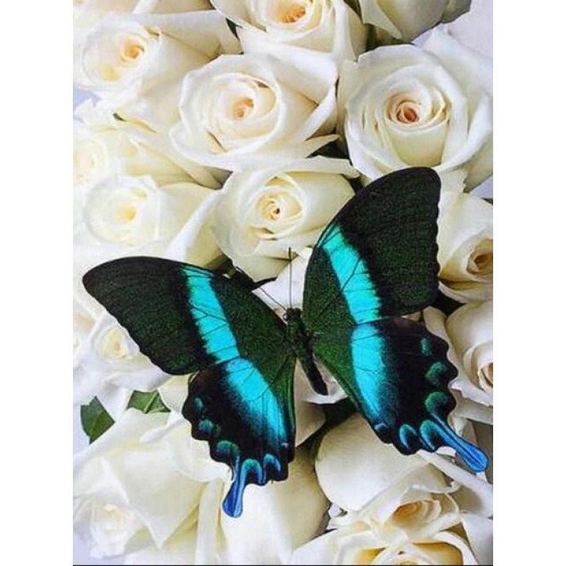 White Roses & Bu...