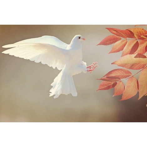 White Pigeon & Autumn Leaves