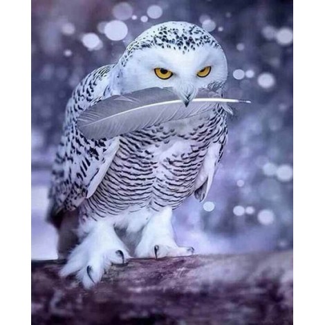 White Owl Painting