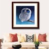 White Owl Diamond Painting