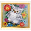 White Owl & Colorful Flowers
