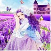 Girl Sitting in Lavender Flowers