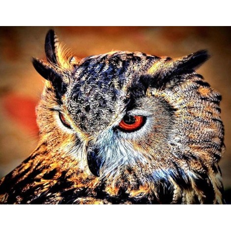 Furious Owl