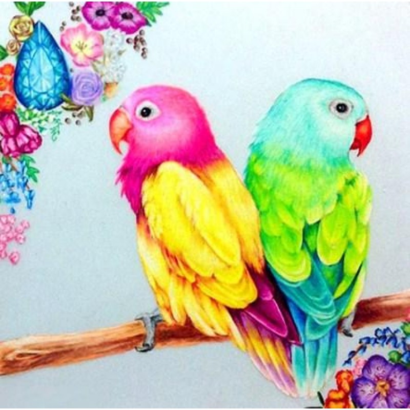 Parrots Pair Paintin...