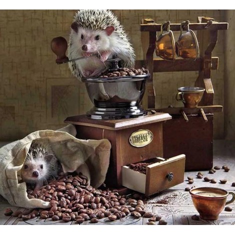 Hedgehog DIY Painting Kit