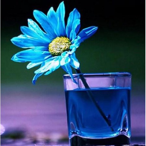 Blue Daisy in Glass