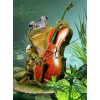 Frog Playing Guitar