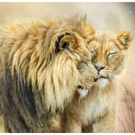 Lion & Lioness Love