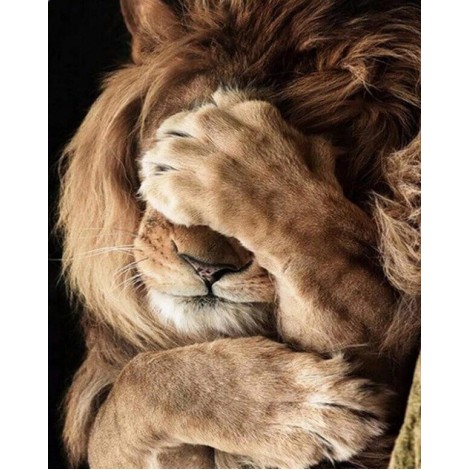 Shy Lion Diamond Painting