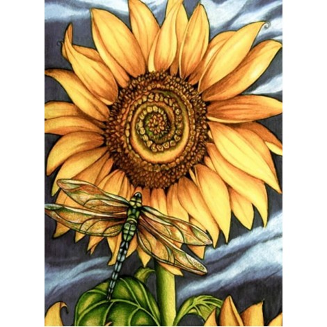 Sunflower & Dragon Fly