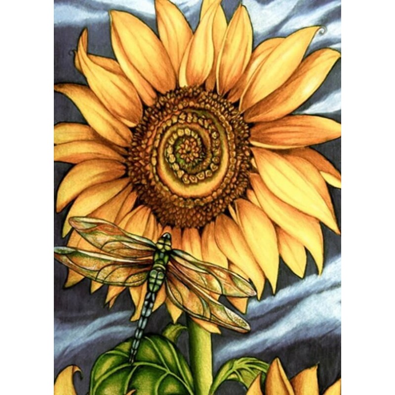 Sunflower & Drag...