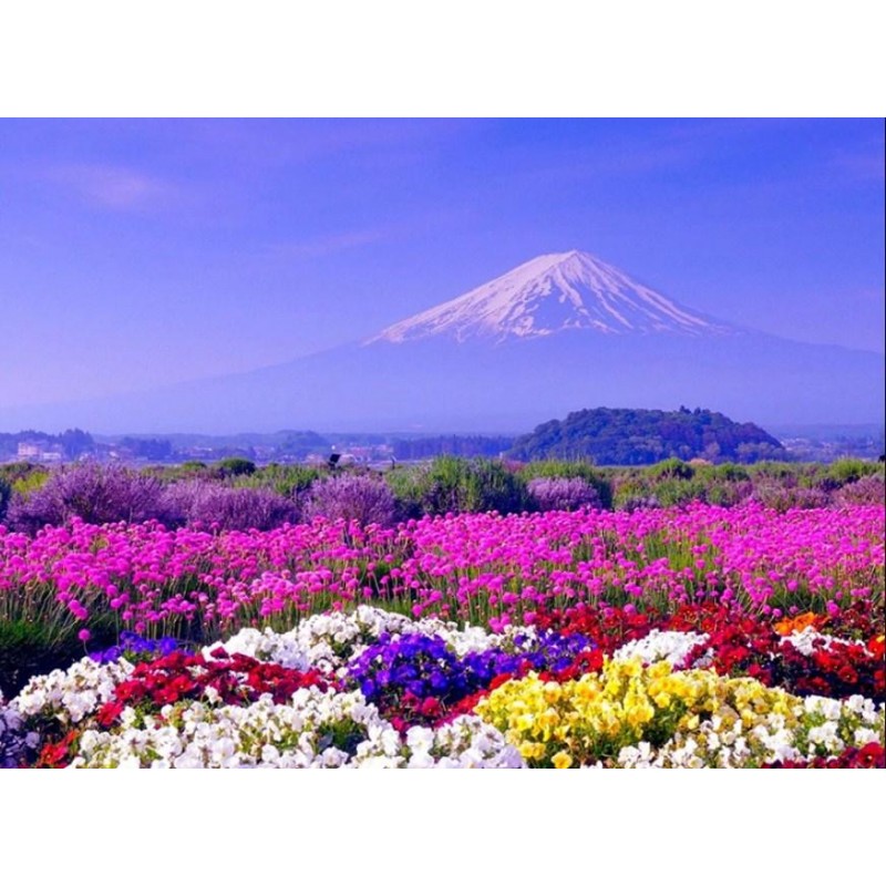 White Mountain &...