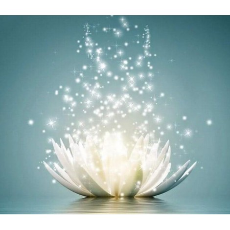 White Lotus Art