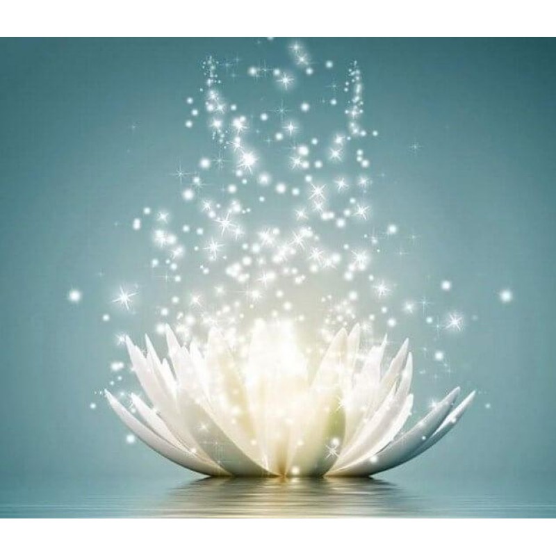 White Lotus Art