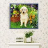White Dog sitting in Flowers