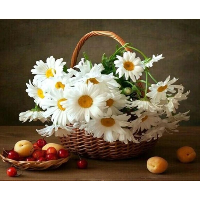 White Daisies in the...
